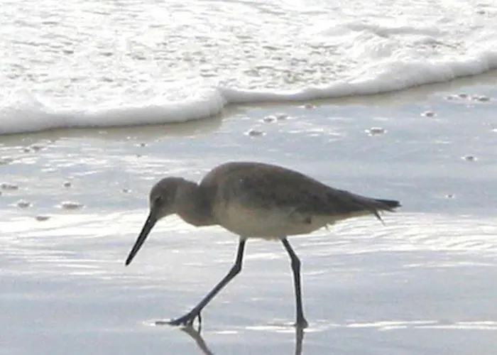 Sandpiper 2c Holiday home